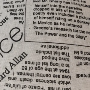 Newsprint Script Print Fabric Cushion Detail